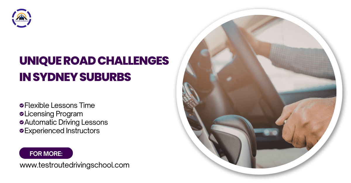 Professional Driving Lessons